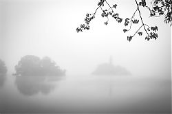 Misty Morning on Lake Burley Griffin, Canberra ACT