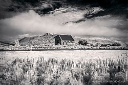 Lupins & Church of The Good Shepherd, Lake Tekapo