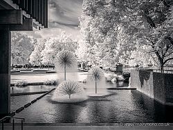 Ferrier Fountain, Christchurch Town Hall